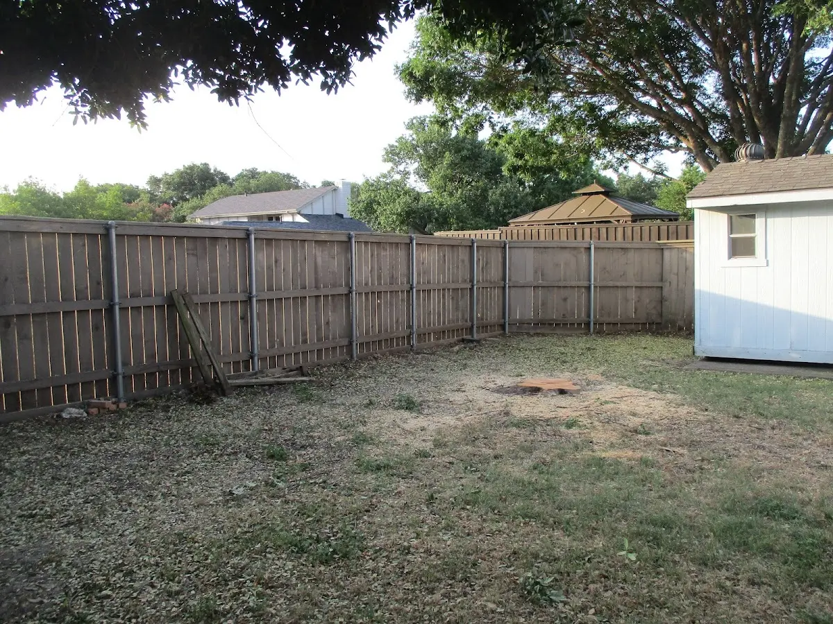 Cleared yard after professional tree removal in Hensonville